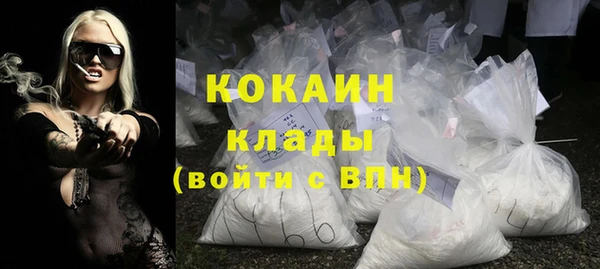 гидра Михайловка