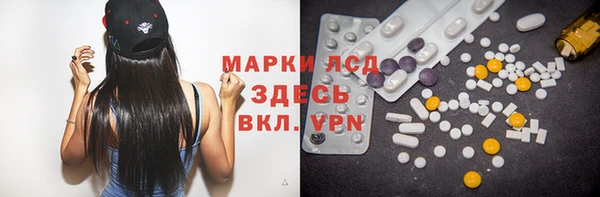 гидра Михайловка