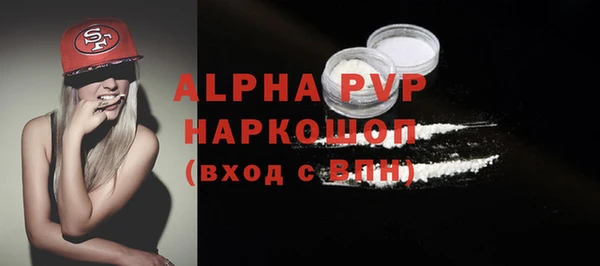 гидра Михайловка