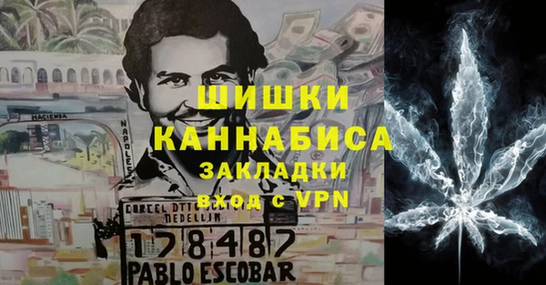 гидра Михайловка