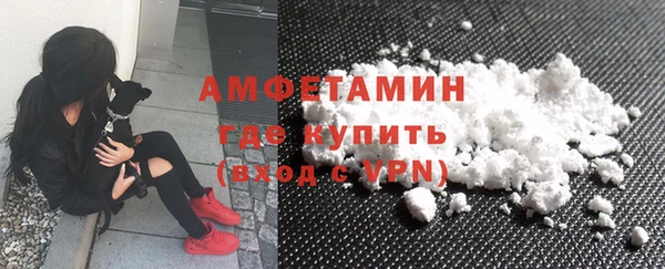 гидра Михайловка
