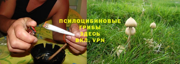 PSILOCYBIN Мегион